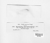 Image Associated With the Occurence
